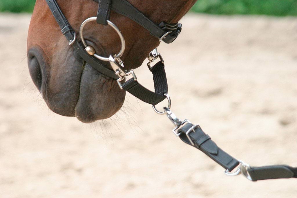 Mostek do lonżowania dla konia, Covalliero - Cavalo